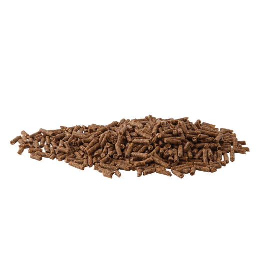 Hygain Zero Low Carb Horse Feed 20kg – pellet close-up