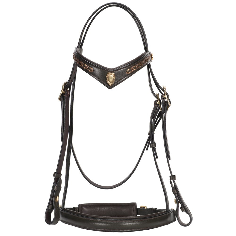 Jeremy & Lord - "V" Dressage Bridle - front view showing V browband