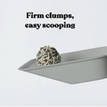Load image into Gallery viewer, Kazoo - Squat Club Deep Clean Eco Charcoal Cat Litter
