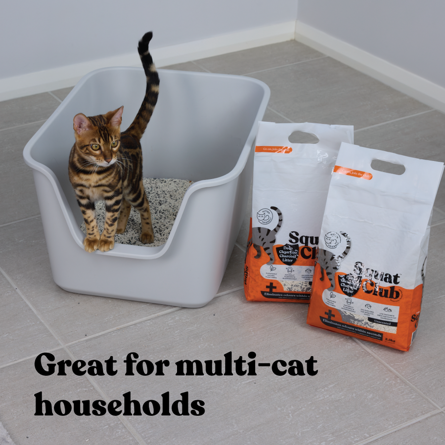 Kazoo - Squat Club Deep Clean Eco Charcoal Cat Litter