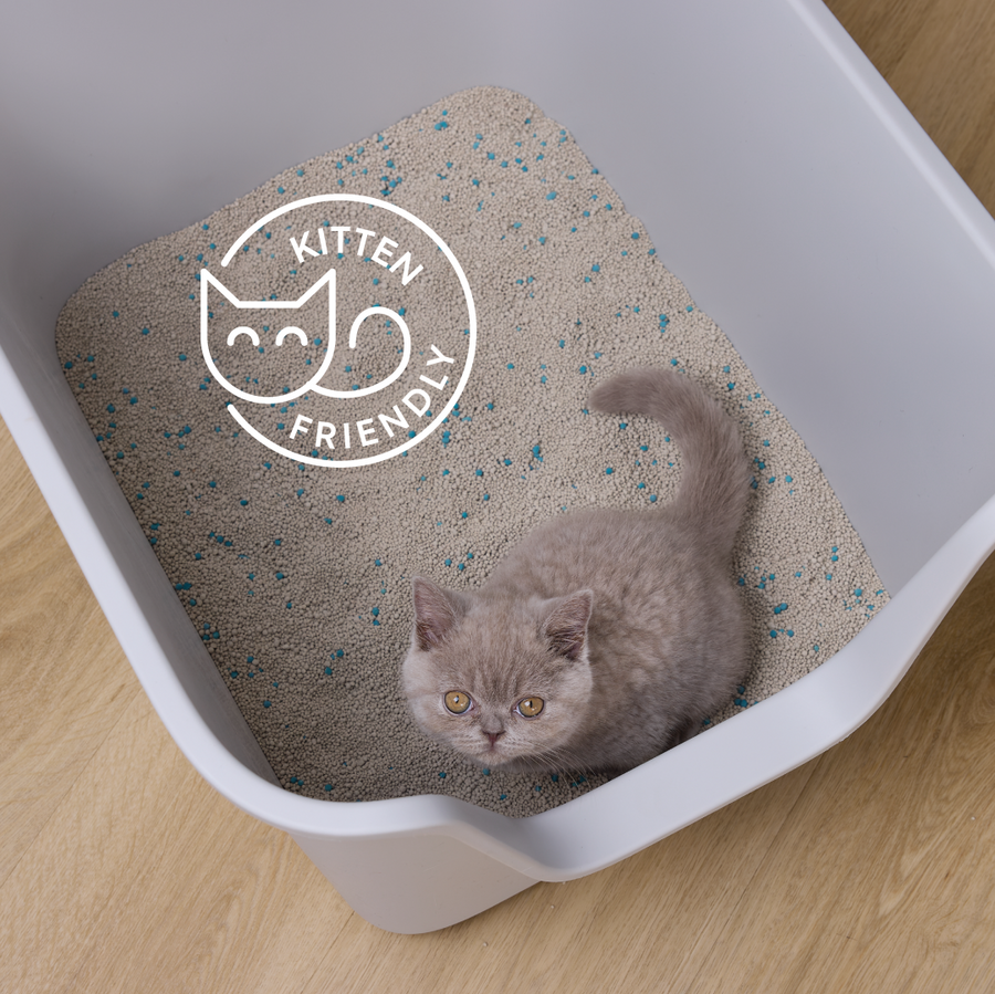 Kazoo - Squat Club Fast Clumping Clay Cat Litter Lavender