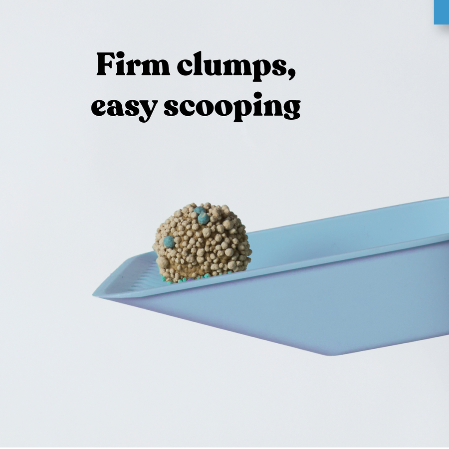 Kazoo - Squat Club Fast Clumping Clay Cat Litter Unscented