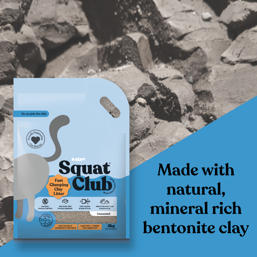 Kazoo - Squat Club Fast Clumping Clay Cat Litter Unscented