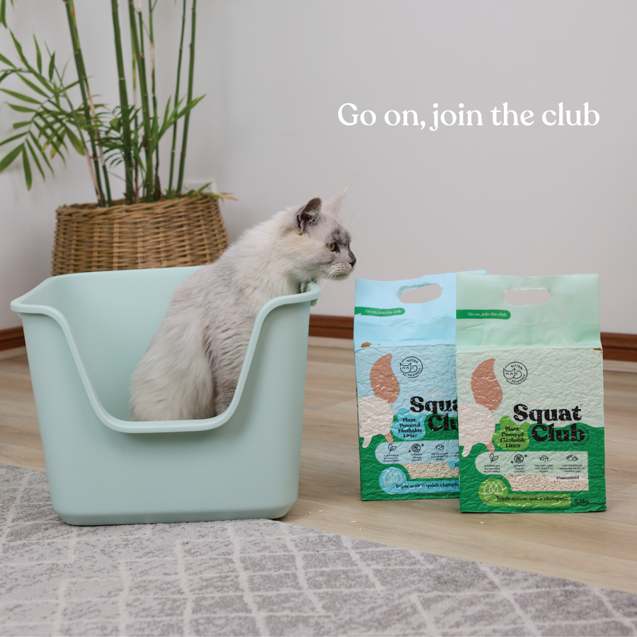 Kazoo - Squat Club Plant Powered Flushable Cat Litter Fresh Scent