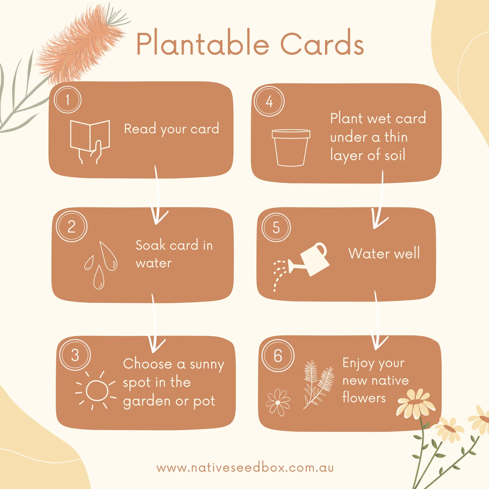 Plantable Koala Card