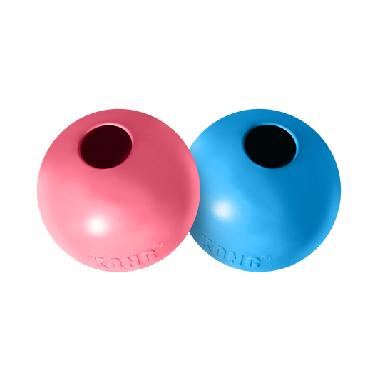 Kong Puppy Ball