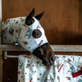 Load image into Gallery viewer, Kozy - Lycra Slinky Hood - Ski Slopes - worn by a horse in a stable
