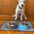Load image into Gallery viewer, Loving Pets - Retro Bowl - Electric Blue
