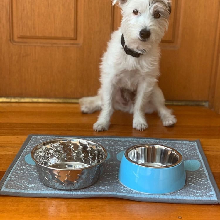 Loving Pets - Retro Bowl - Electric Blue