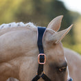 Load image into Gallery viewer, Lumiere Hollywood Leather Halter - close-up of the headpiece on a palomino horse
