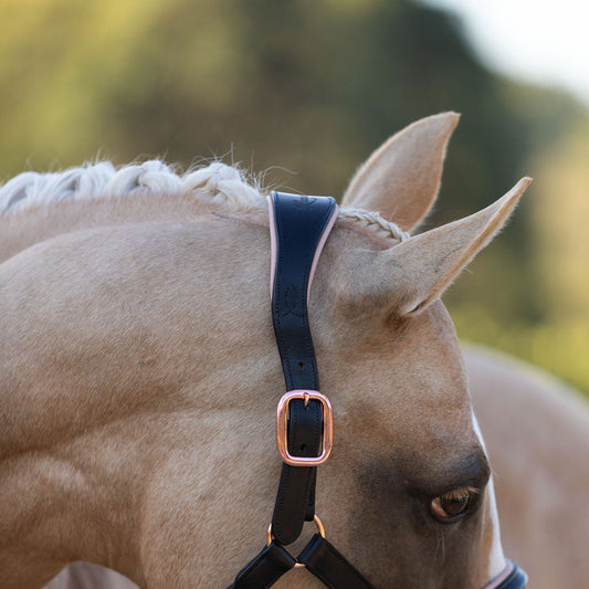 Lumiere Hollywood Leather Halter - close-up of the headpiece on a palomino horse