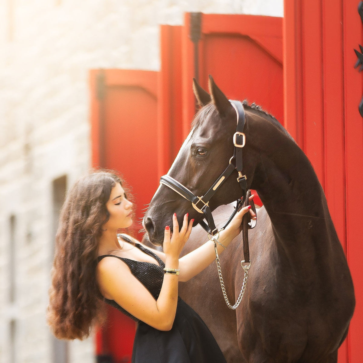 Lumiere Hollywood Leather Halter - woman standing with a black horse wearing the halter