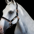 Load image into Gallery viewer, Lumiere Hollywood Leather Halter - grey horse wearing the halter, three-quarter view
