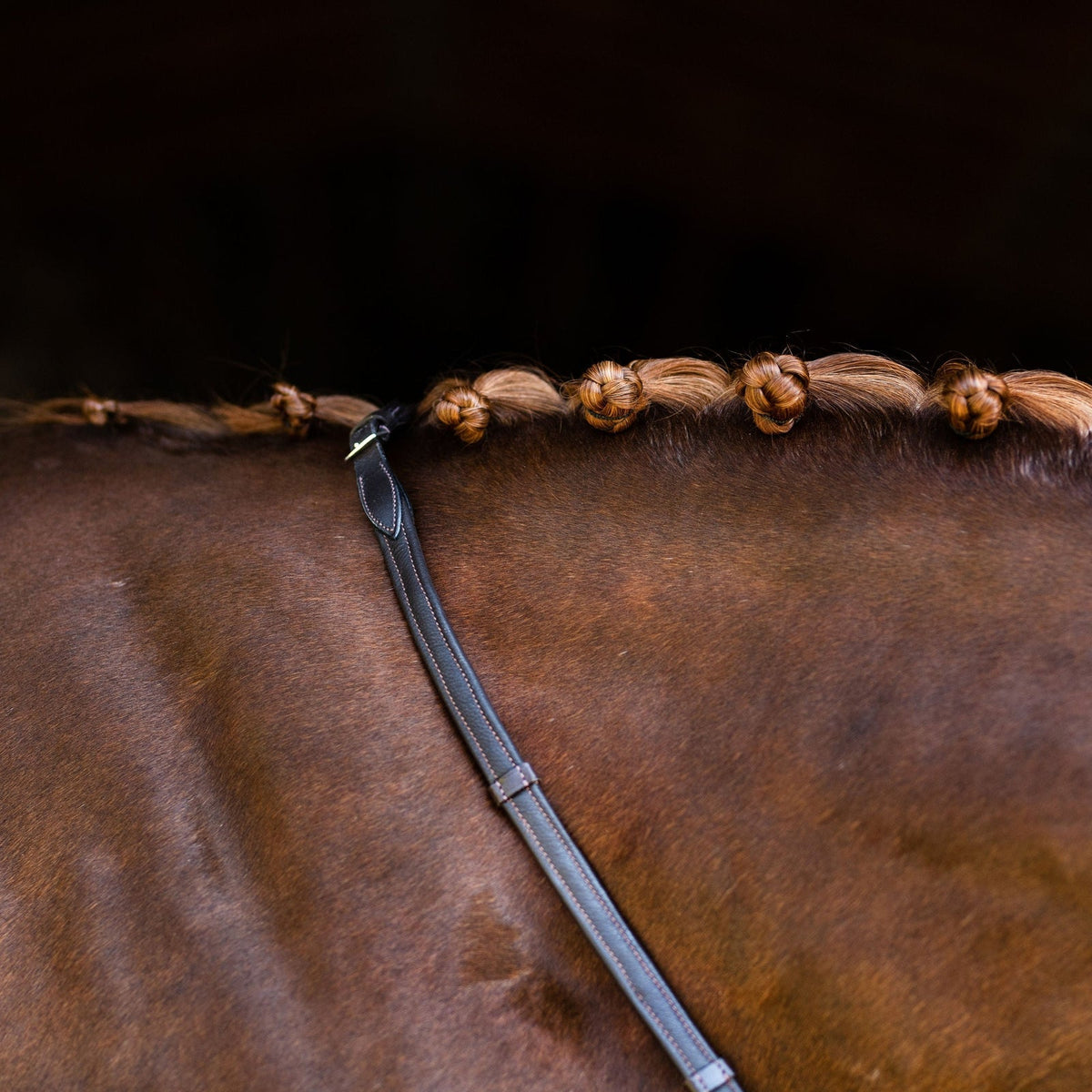 Lumiere Padded Nappa Leather Reins (Flat) - reins lying along a plaited horse's neck