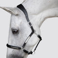 Load image into Gallery viewer, Lumiere Perseus Halter - grey horse wearing the black halter, head lowered
