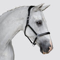 Load image into Gallery viewer, Lumiere Perseus Halter - grey horse wearing the black halter, profile
