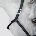 Load image into Gallery viewer, Lumiere Perseus Halter - close-up of the cheek strap and buckle
