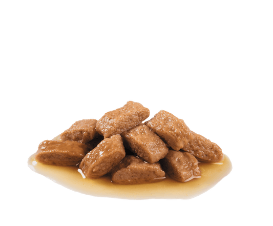 Royal Canin Medium Adult Chunks in Gravy