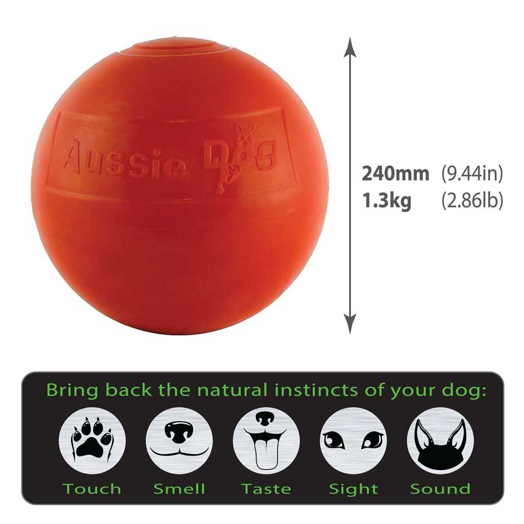 Aussie Dog - Staffie Ball