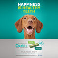 Load image into Gallery viewer, Oravet Large Dog Dental Chews 14 Pack
