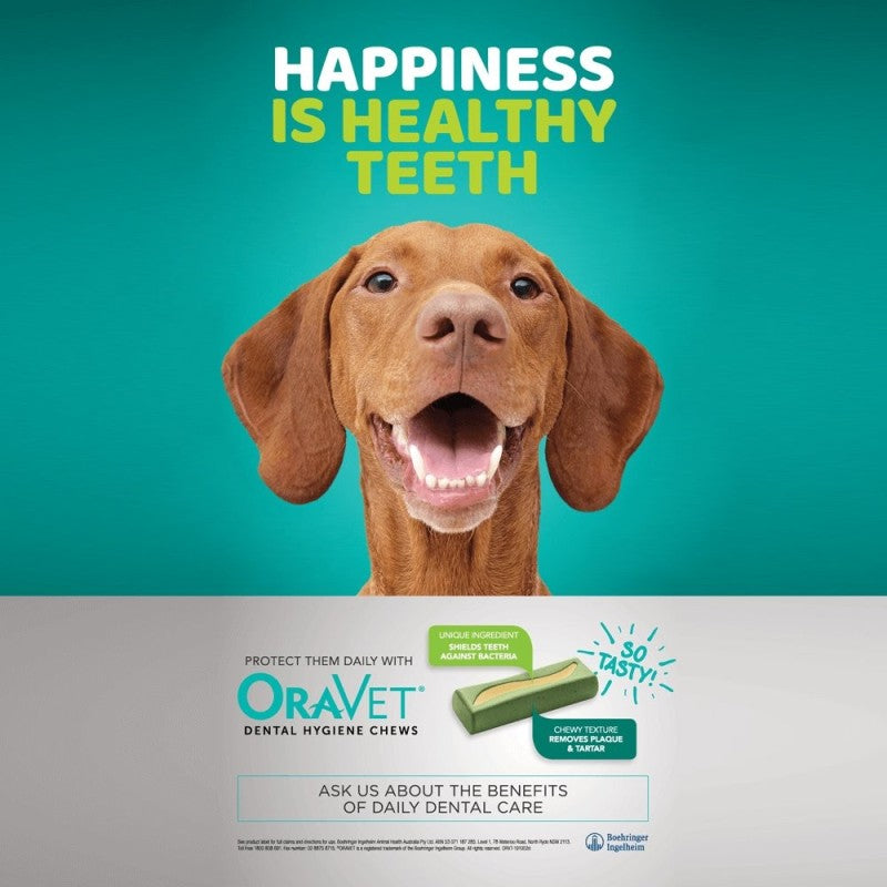 Oravet Medium Dog Dental Chews 28 Pack