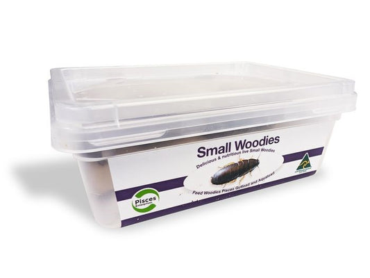 Woodies Small - 50 tub