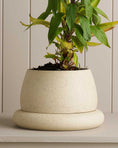 Load image into Gallery viewer, Large Cloud Planter - White Speckle
