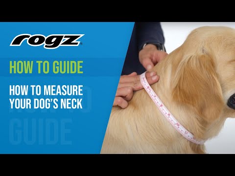 Rogz Classic Collar For Dogs Pink / Extra Large 43-70 cm