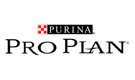Pro Plan