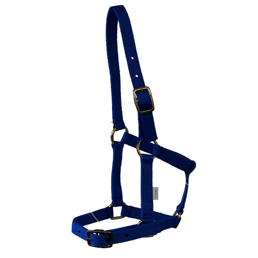 rancher-nylon-foal-halter-w-buckles - gallery_0