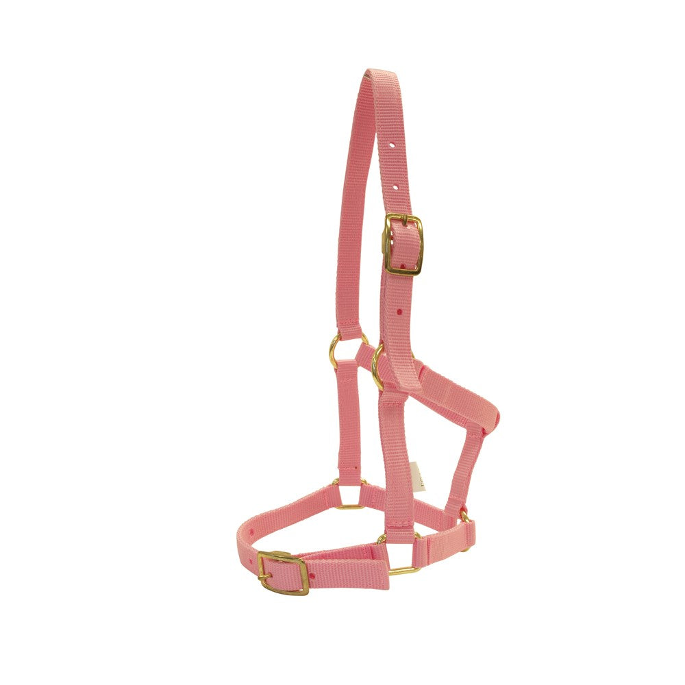 rancher-nylon-foal-halter-w-buckles - gallery_1