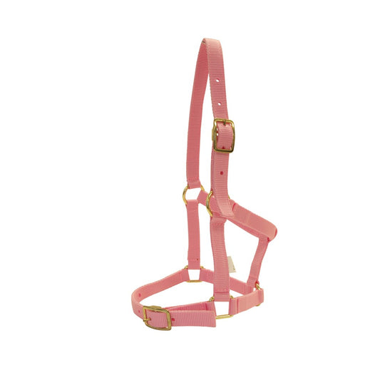 rancher-nylon-foal-halter-w-buckles - gallery_1