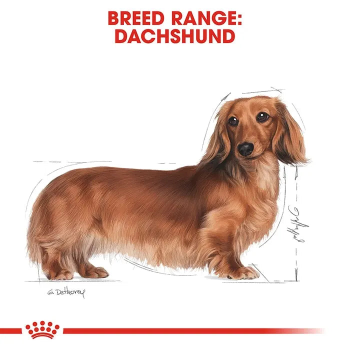 Royal Canin Dachshund Adult