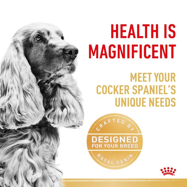 Royal Canin Cocker Spaniel Adult