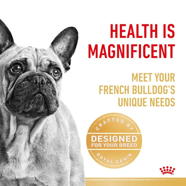 Royal Canin French Bulldog Adult