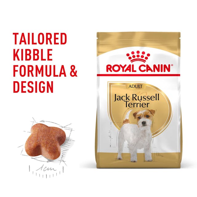 Royal Canin Jack Russell Adult