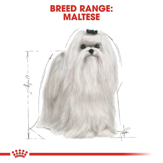 Royal Canin Maltese Adult