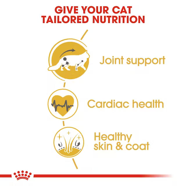 Royal Canin - Maine Coon Adult