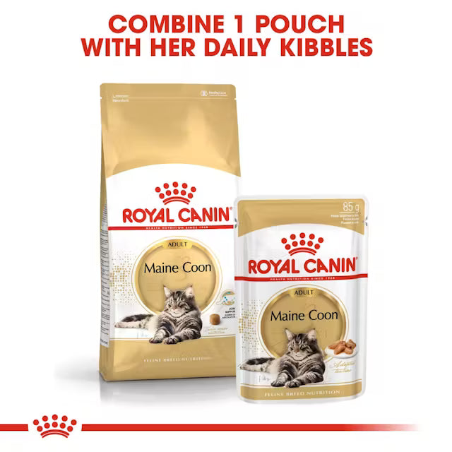 Royal Canin - Maine Coon Adult