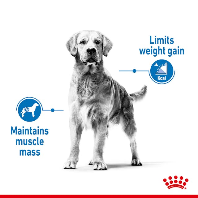 Royal Canin - Medium Light Weight Care