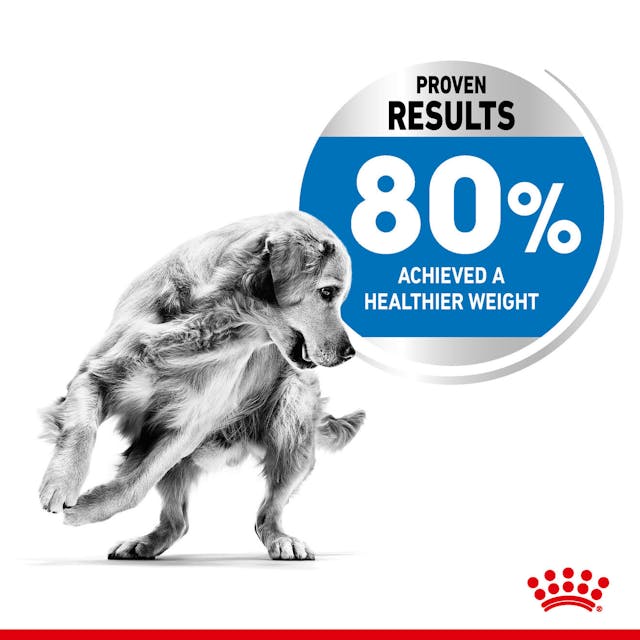 Royal Canin - Medium Light Weight Care