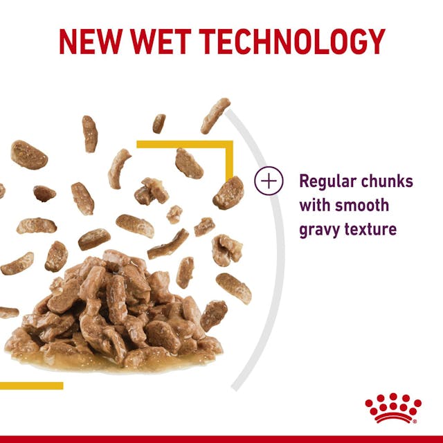 Royal Canin Sensory™ Taste Chunks in gravy 12x85g