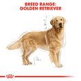 Load image into Gallery viewer, Royal Canin Golden Retriever Adult
