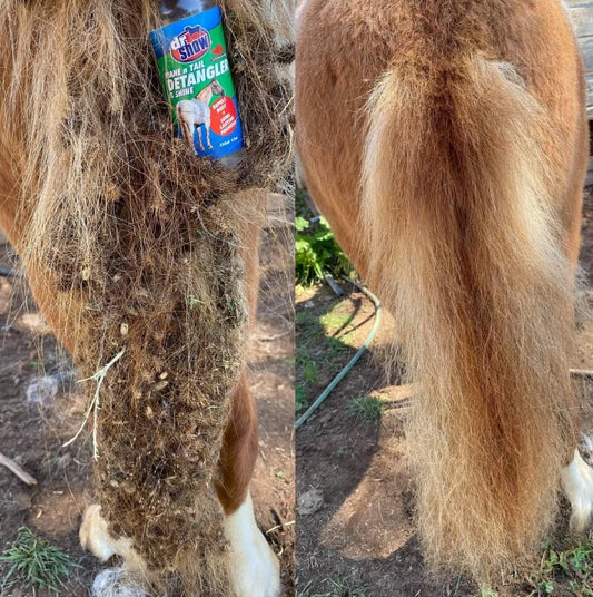 Dr Show Mane & Tail Detangler