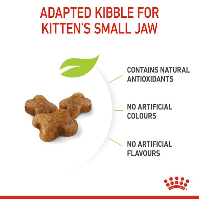 Royal Canin - Kitten Dry Cat Food