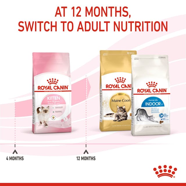 Royal Canin - Kitten Dry Cat Food