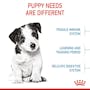 Royal Canin Mini Puppy