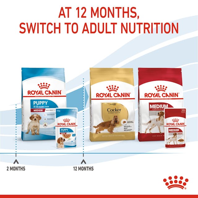 Royal Canin Medium Puppy Chunks in Gravy