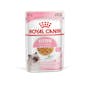 Royal Canin Kitten Chunks in Jelly12x85g Wet Cat Food