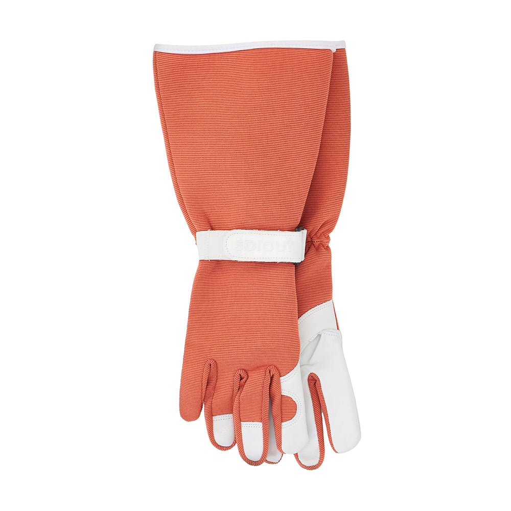 Sprout Long Sleeve Glove